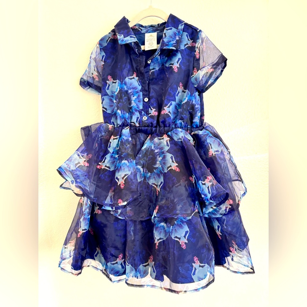 Disney Cinderella Fancy dress
